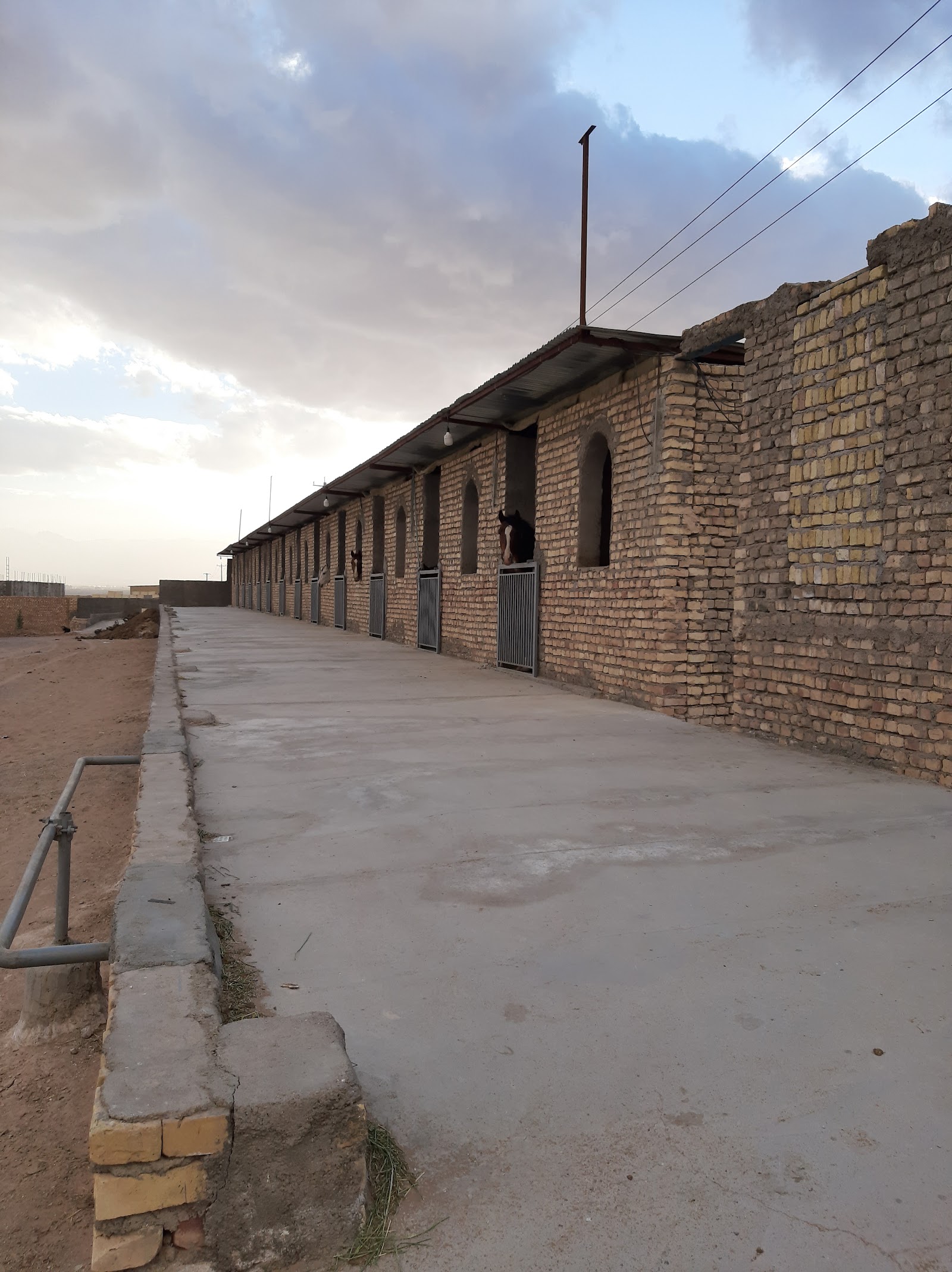 باشگاه سوارکاری جولان یزد رحمتی — باشگاه