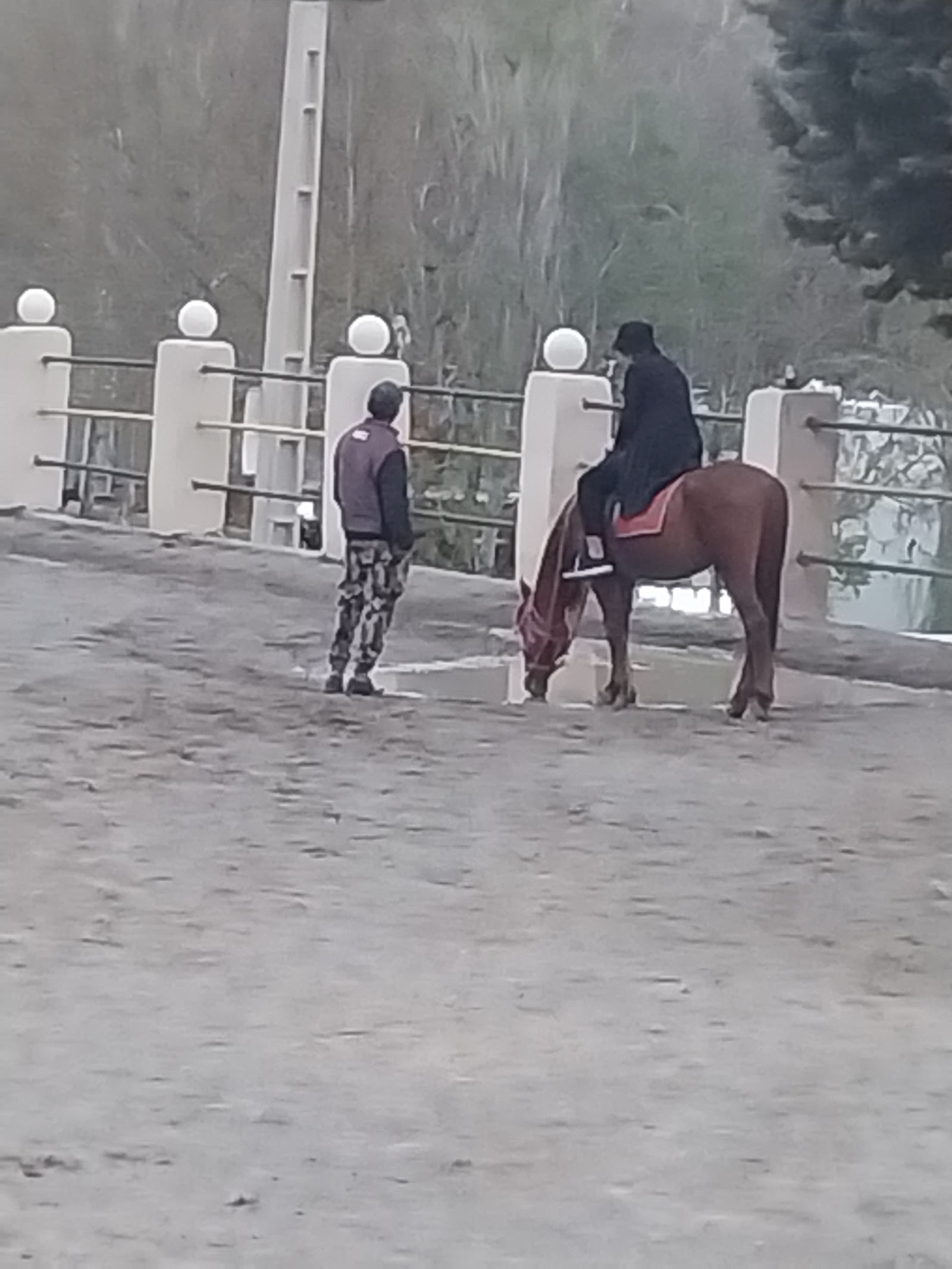 باشگاه سوارکاری گلاب — باشگاه