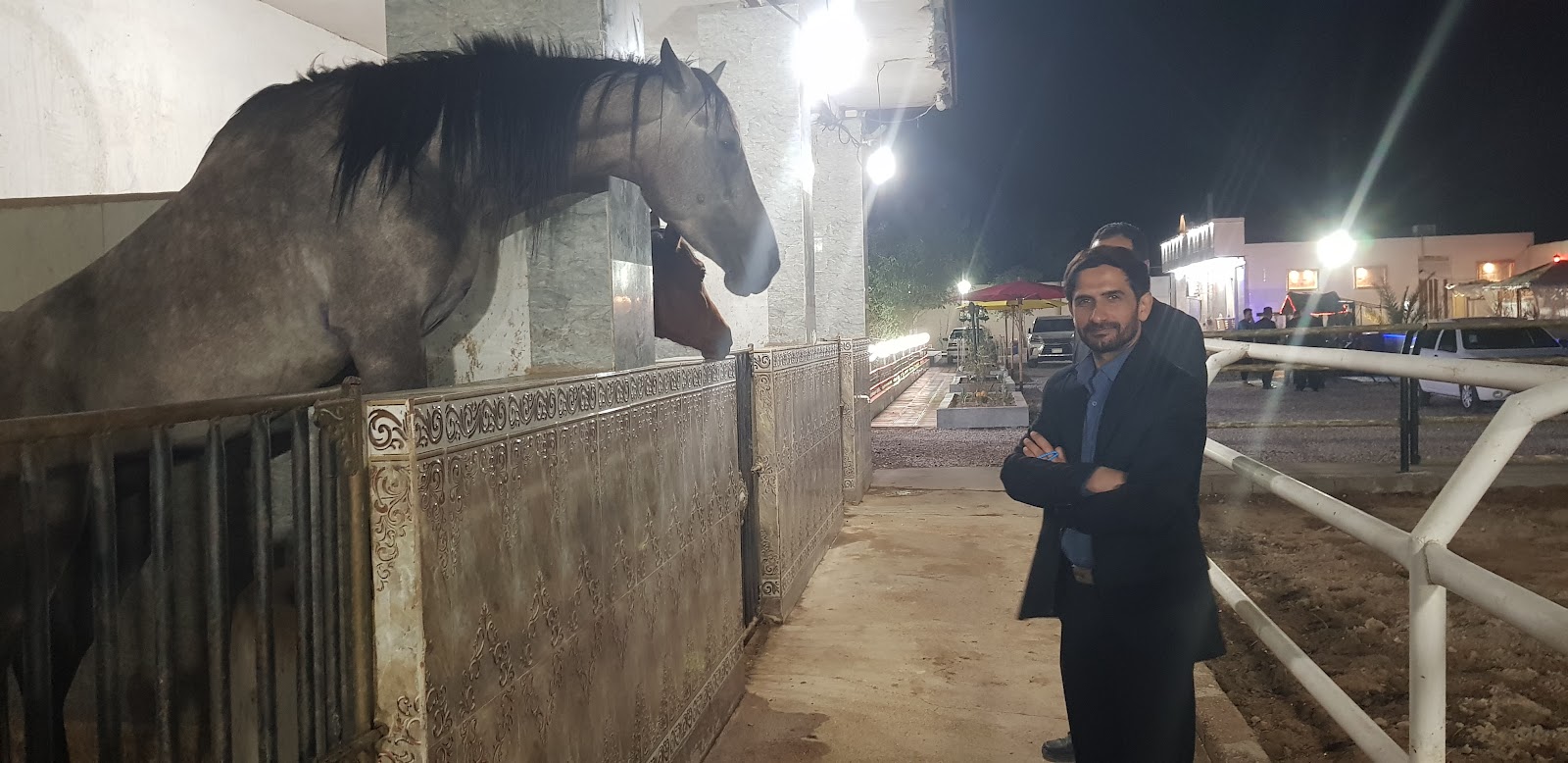 مراکز پرورش اسب اهواز — باشگاه