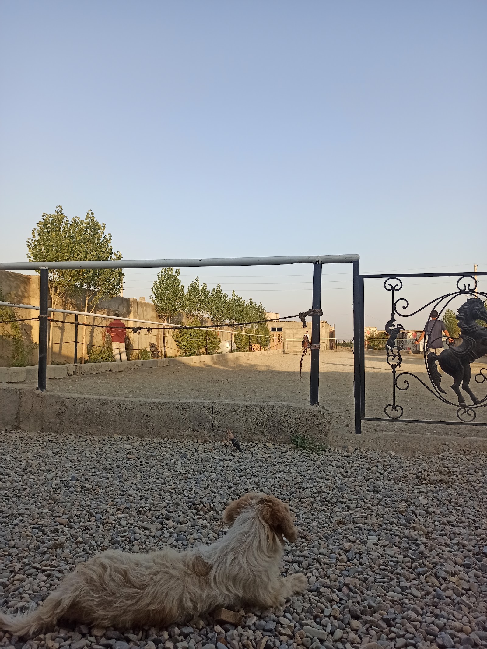 باشگاه سوارکاری و کافه نعل — باشگاه