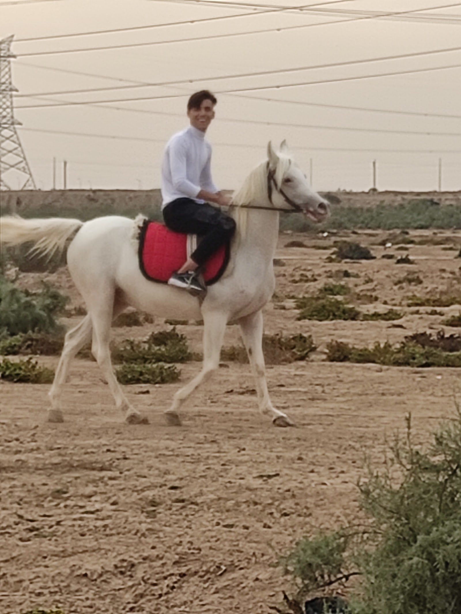باشگاه پرورش اسب سادات — باشگاه