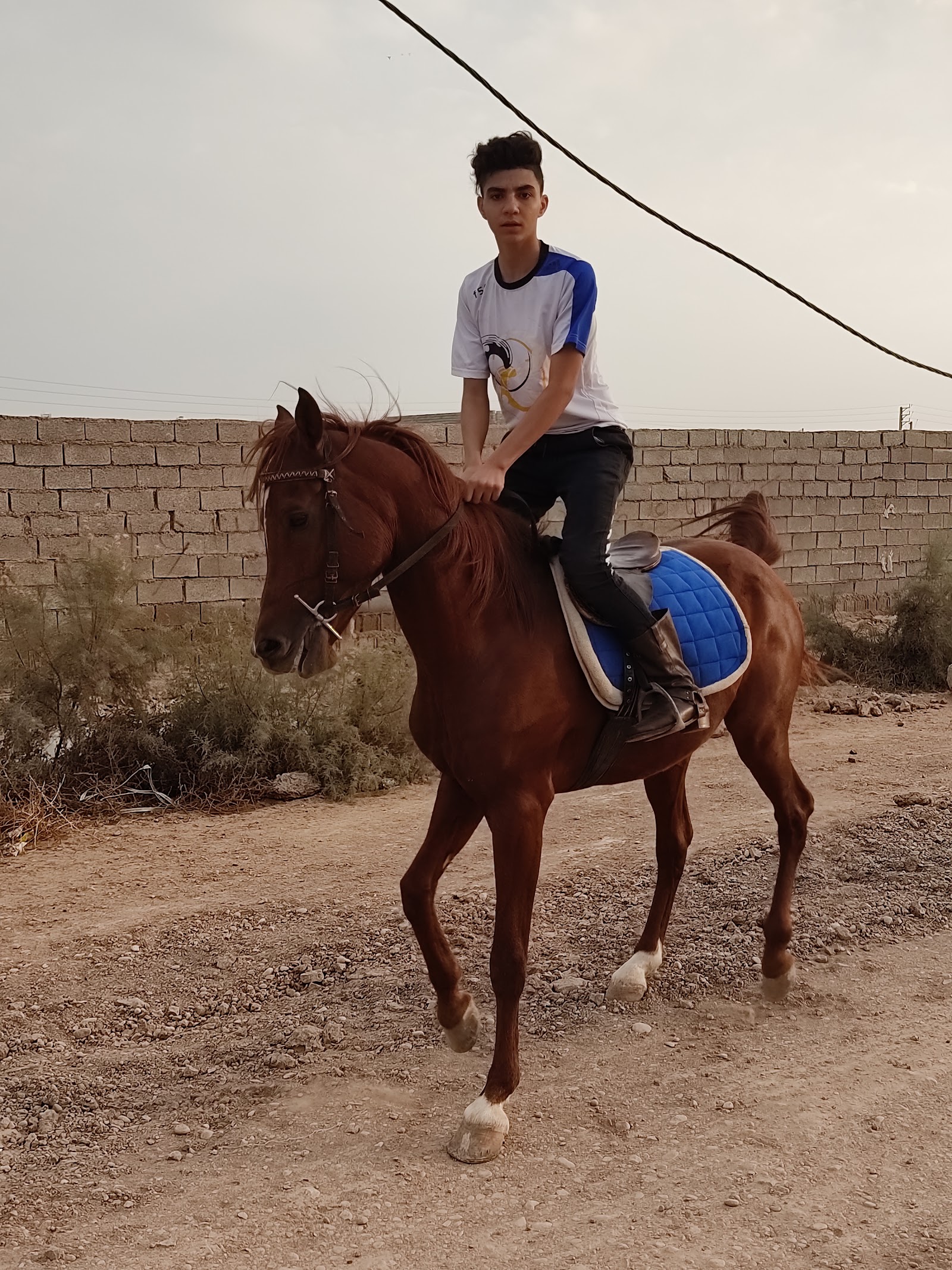 باشگاه پرورش اسب سادات — باشگاه