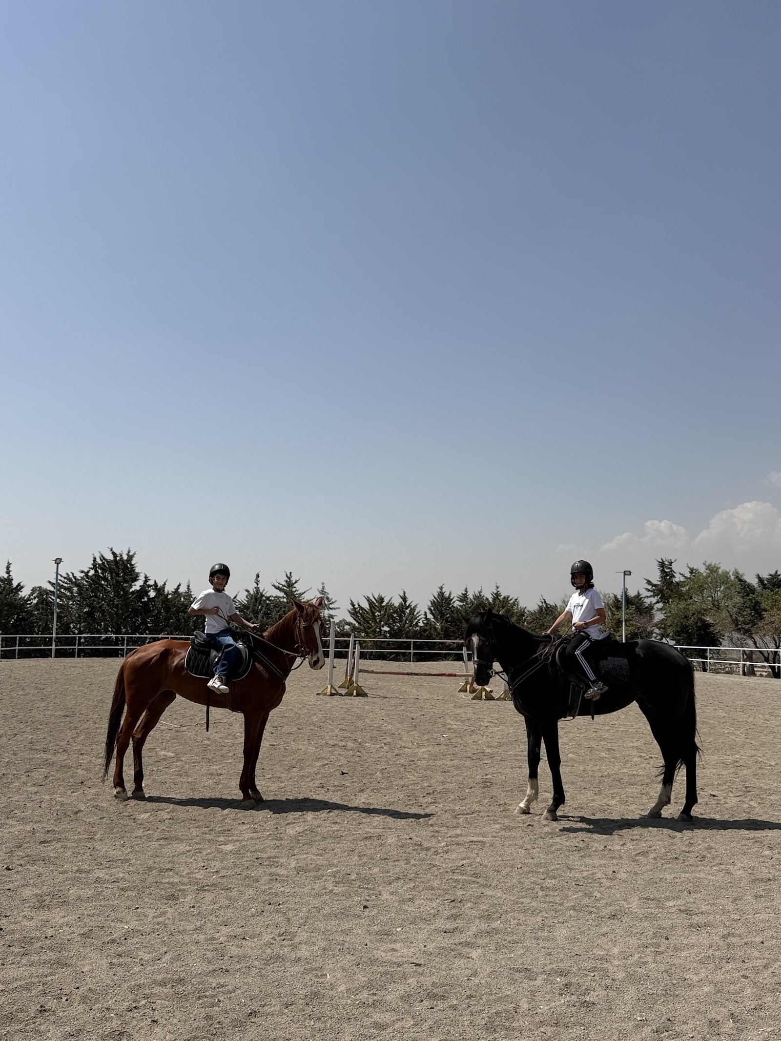 باشگاه سوارکاری بام سوهانک — باشگاه