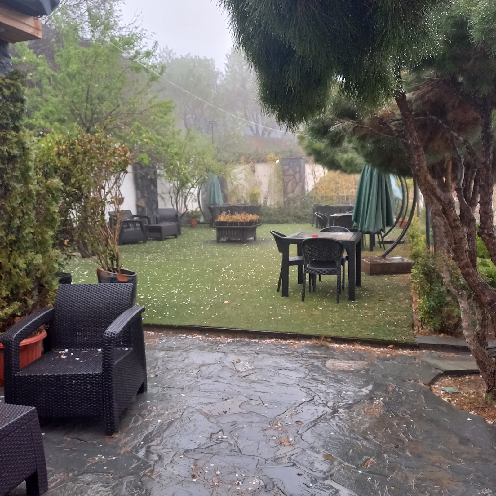 باشگاه سوارکاری بام سوهانک — باشگاه