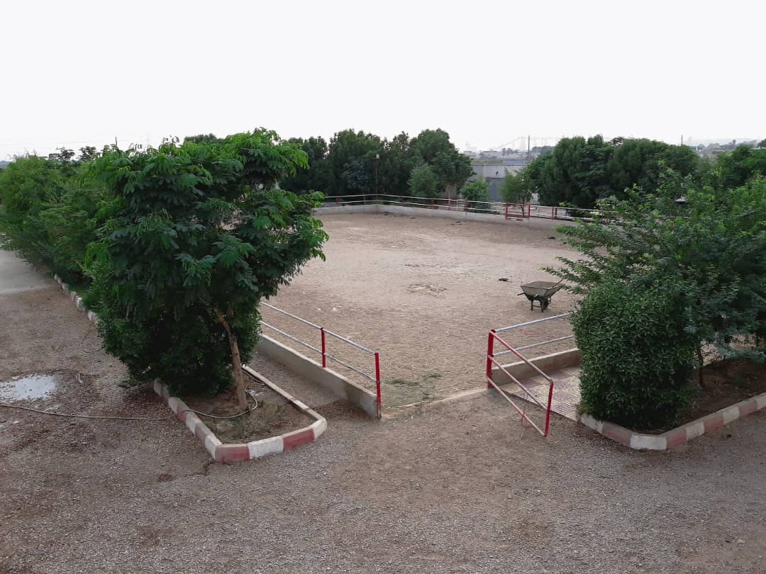 باشگاه سوارکاری موگهی — باشگاه