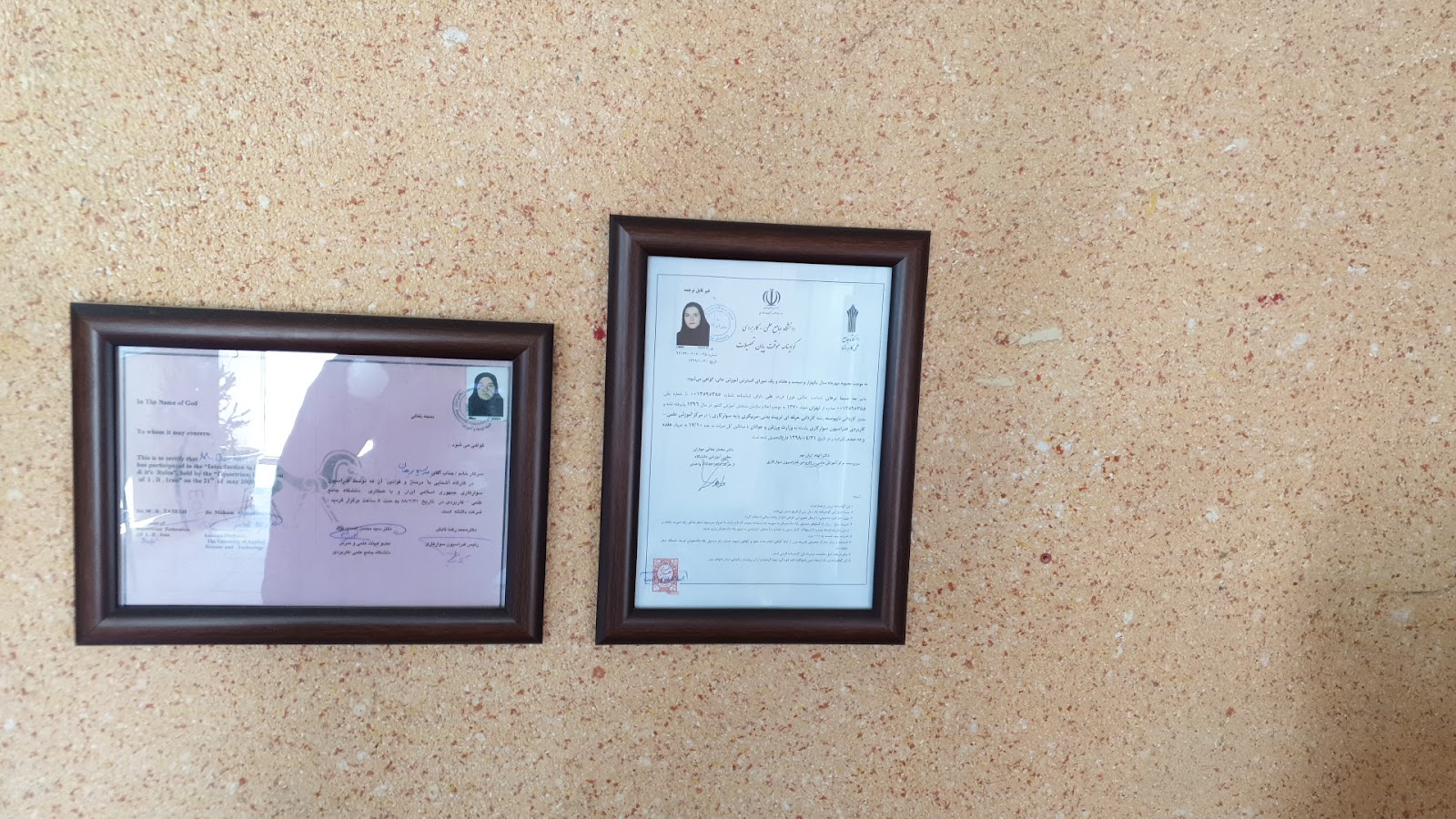 مدرسه پونی سواری کاسپین — باشگاه