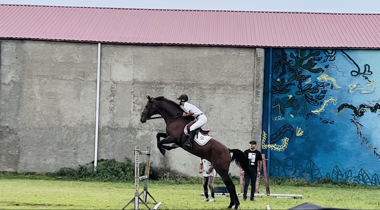 باشگاه سوارکاری ستارگان — باشگاه