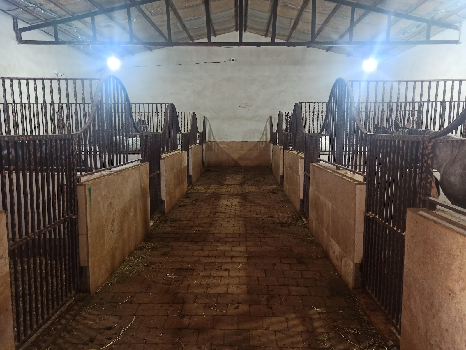 Diamond Horse Farm — باشگاه