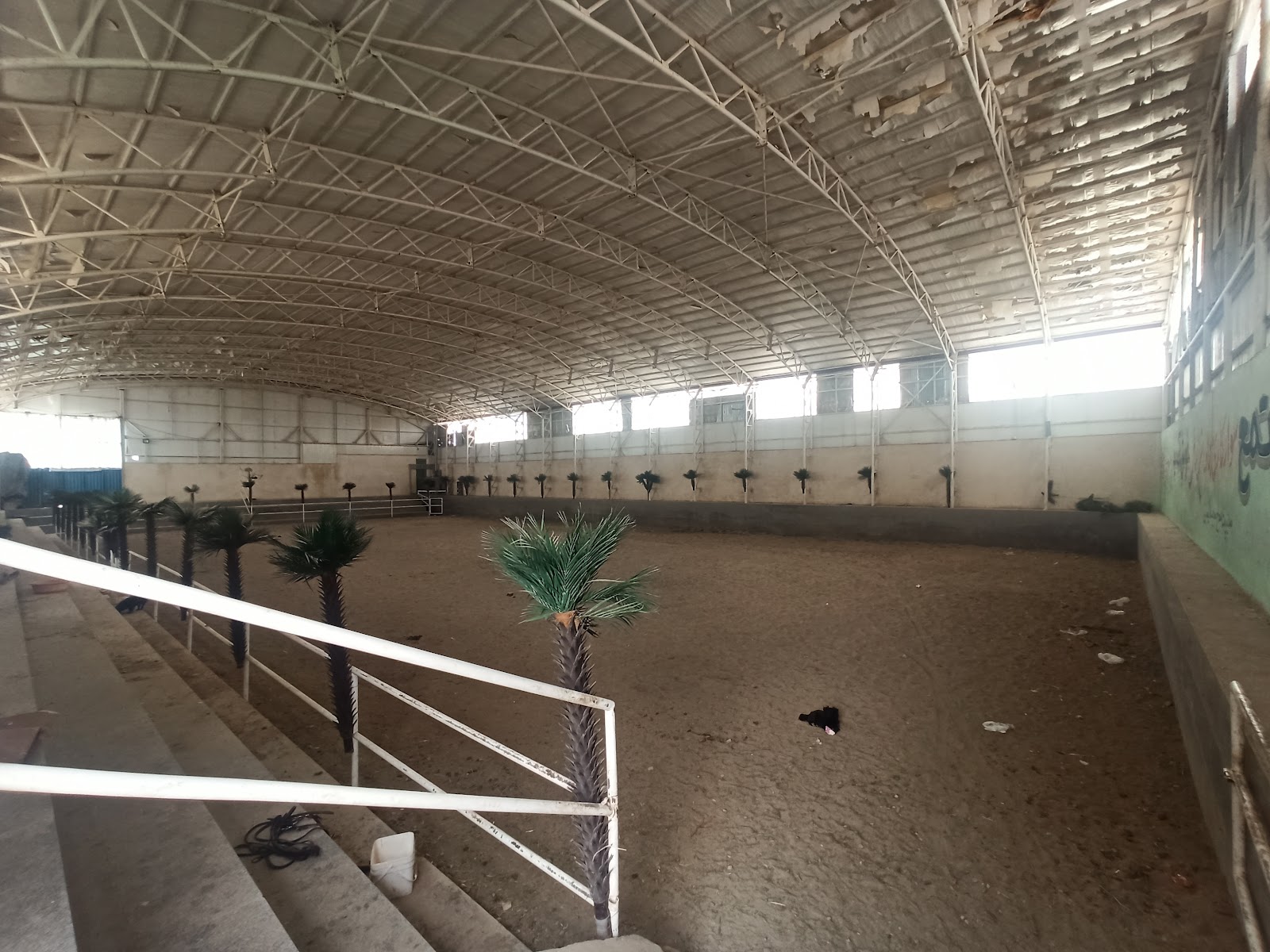 Diamond Horse Farm — باشگاه