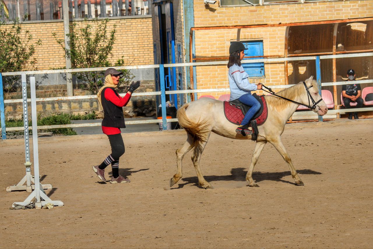 باشگاه سوارکاری ورزشی آرادلند — باشگاه