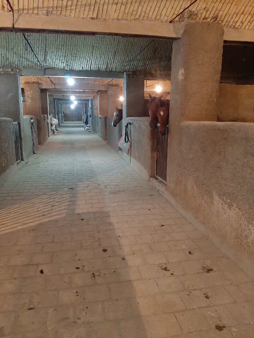 باشگاه سوارکاری قربانرضایی — باشگاه