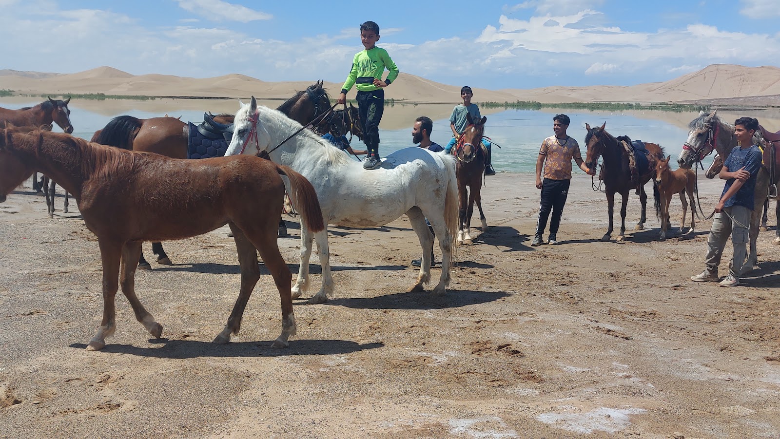 باشگاه سوارکاری قربانرضایی — باشگاه
