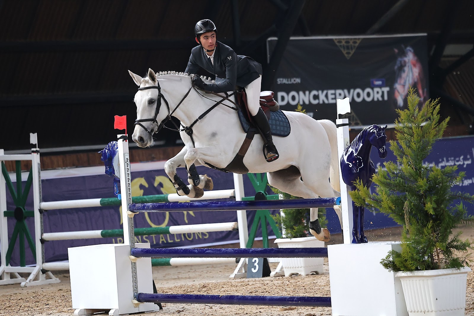 باشگاه سواركاري يال صفادشت /YAL horse riding club — باشگاه