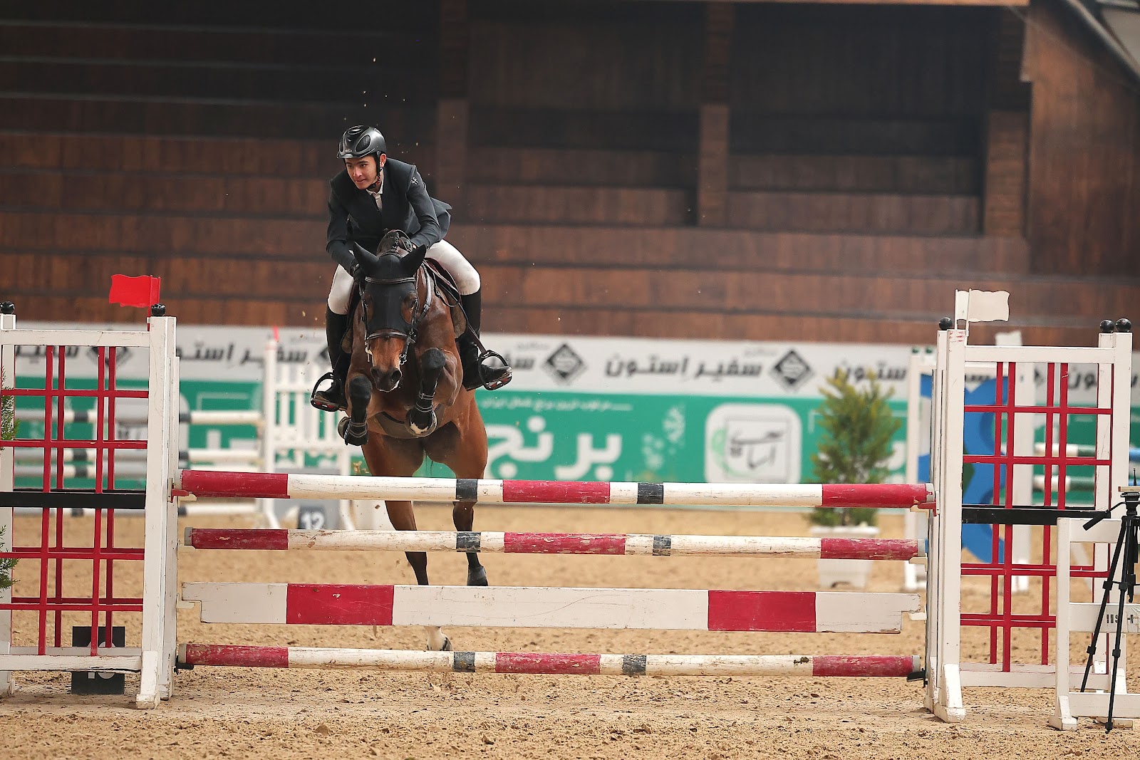 باشگاه سواركاري يال صفادشت /YAL horse riding club — باشگاه