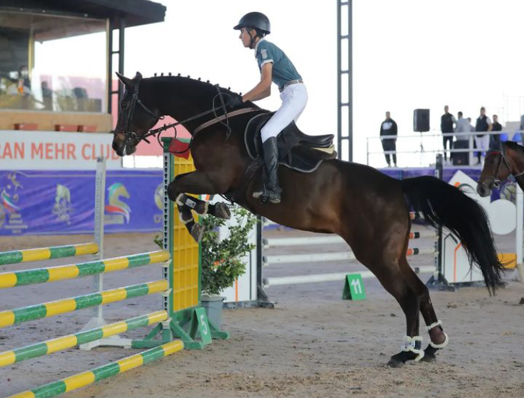 باشگاه سواركاري يال صفادشت /YAL horse riding club — باشگاه