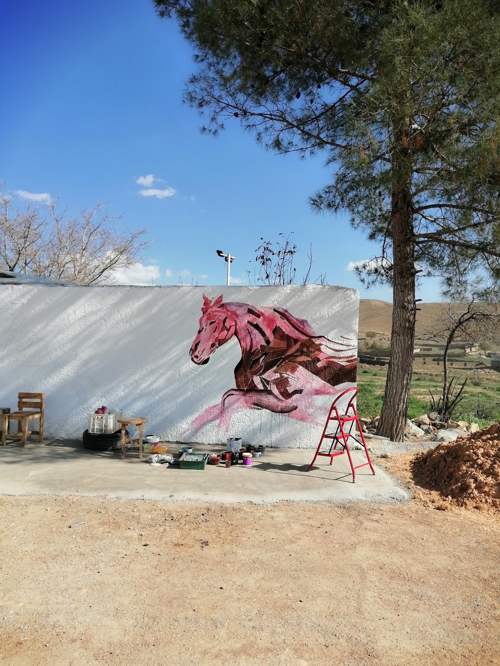 باشگاه سوارکاری اردوان — باشگاه