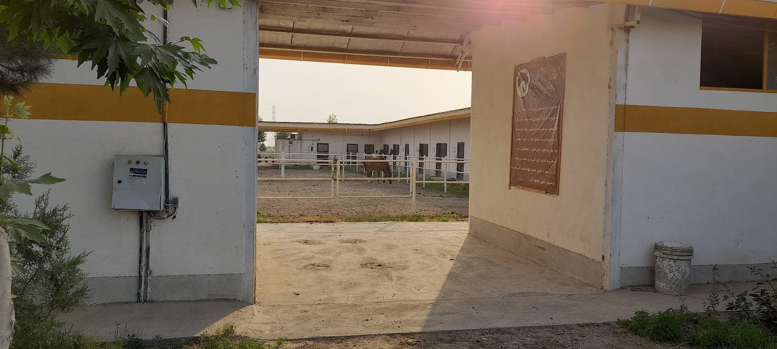باشگاه سوارکاری آلمان (Germany Horse Riding School) — باشگاه