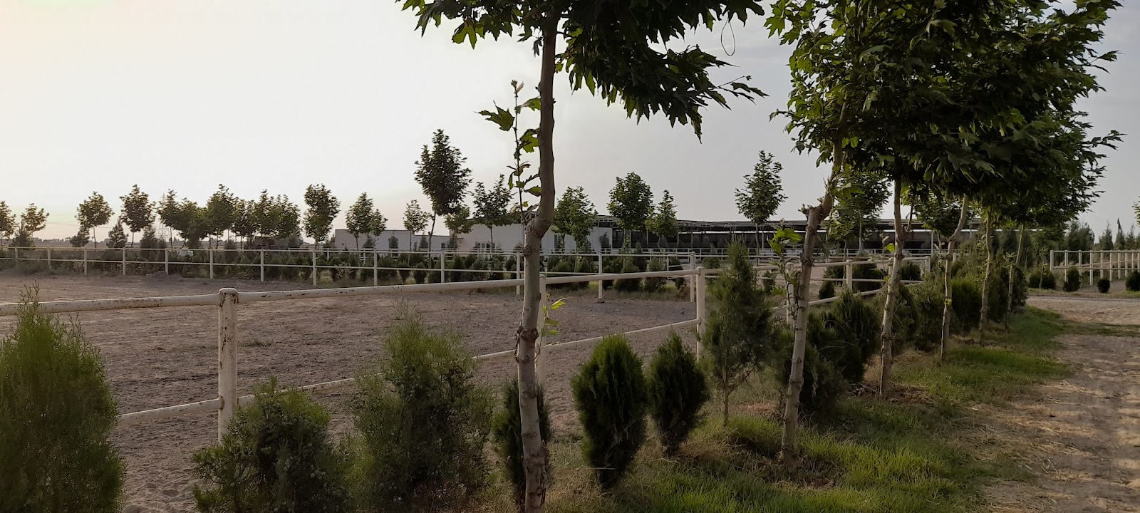 باشگاه سوارکاری آلمان (Germany Horse Riding School) — باشگاه