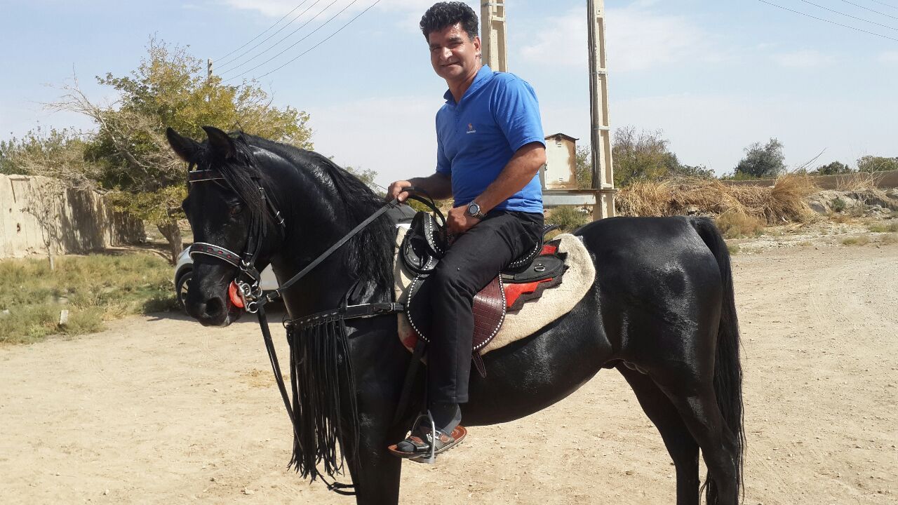باشگاه سوار کاری آریا رامشه — باشگاه