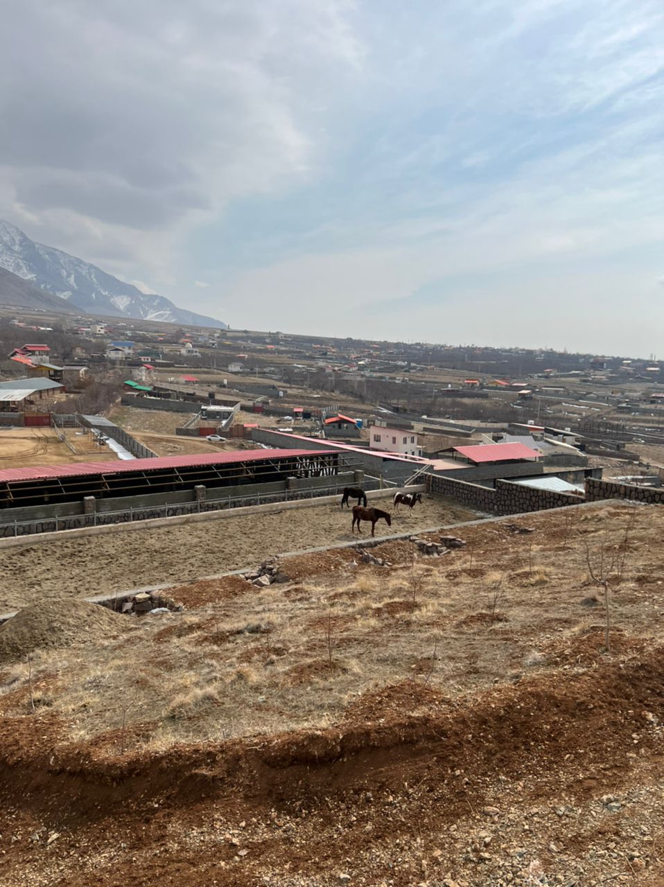 مجموعه سوارکاری هما Homa Equestrian — باشگاه