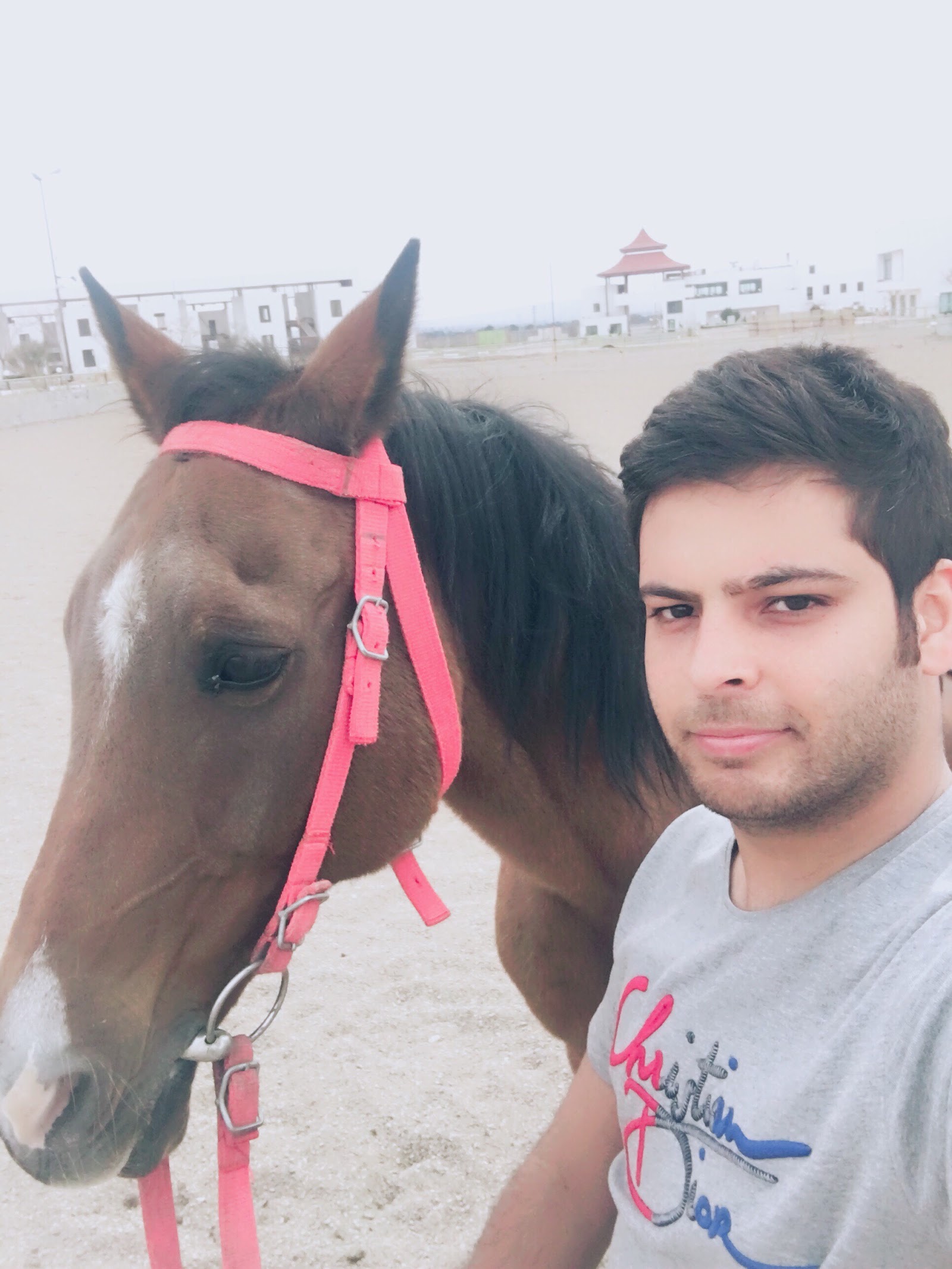 Shabdiz horse club — باشگاه