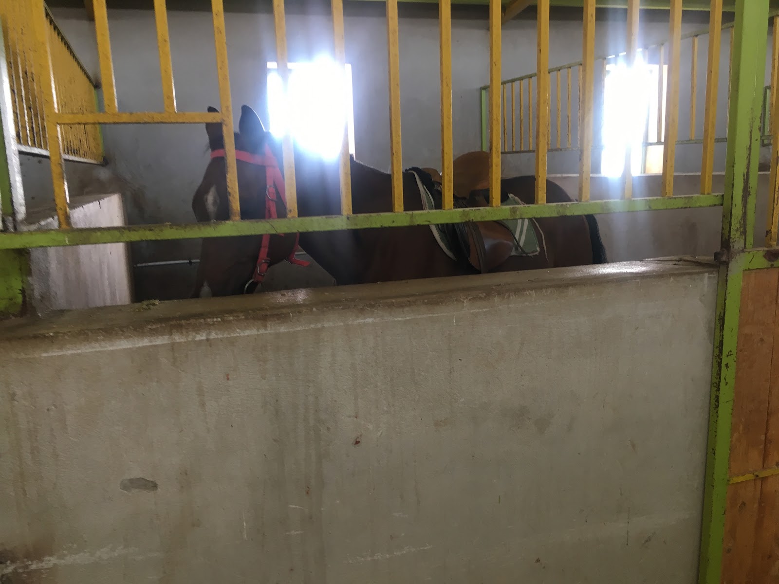 Shabdiz horse club — باشگاه