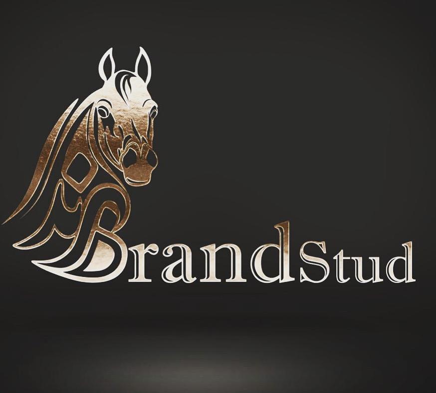 باشگاه سوارکاری برند — باشگاه