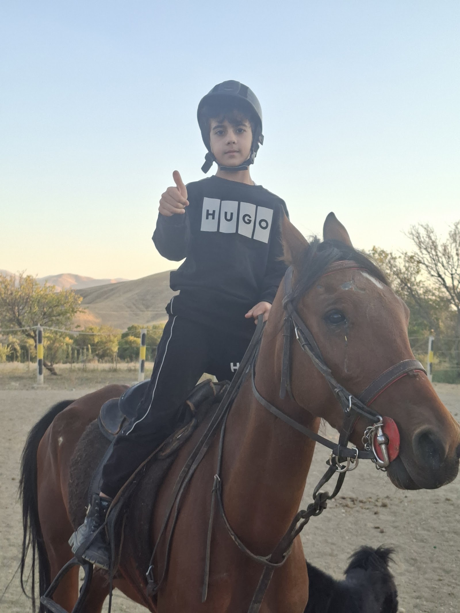 باشگاه سوارکاری شروان — باشگاه