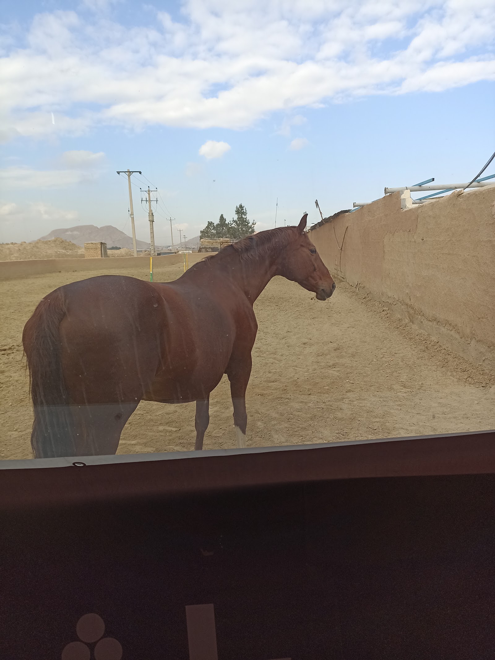 باشگاه سوارکاری پارسیس — باشگاه