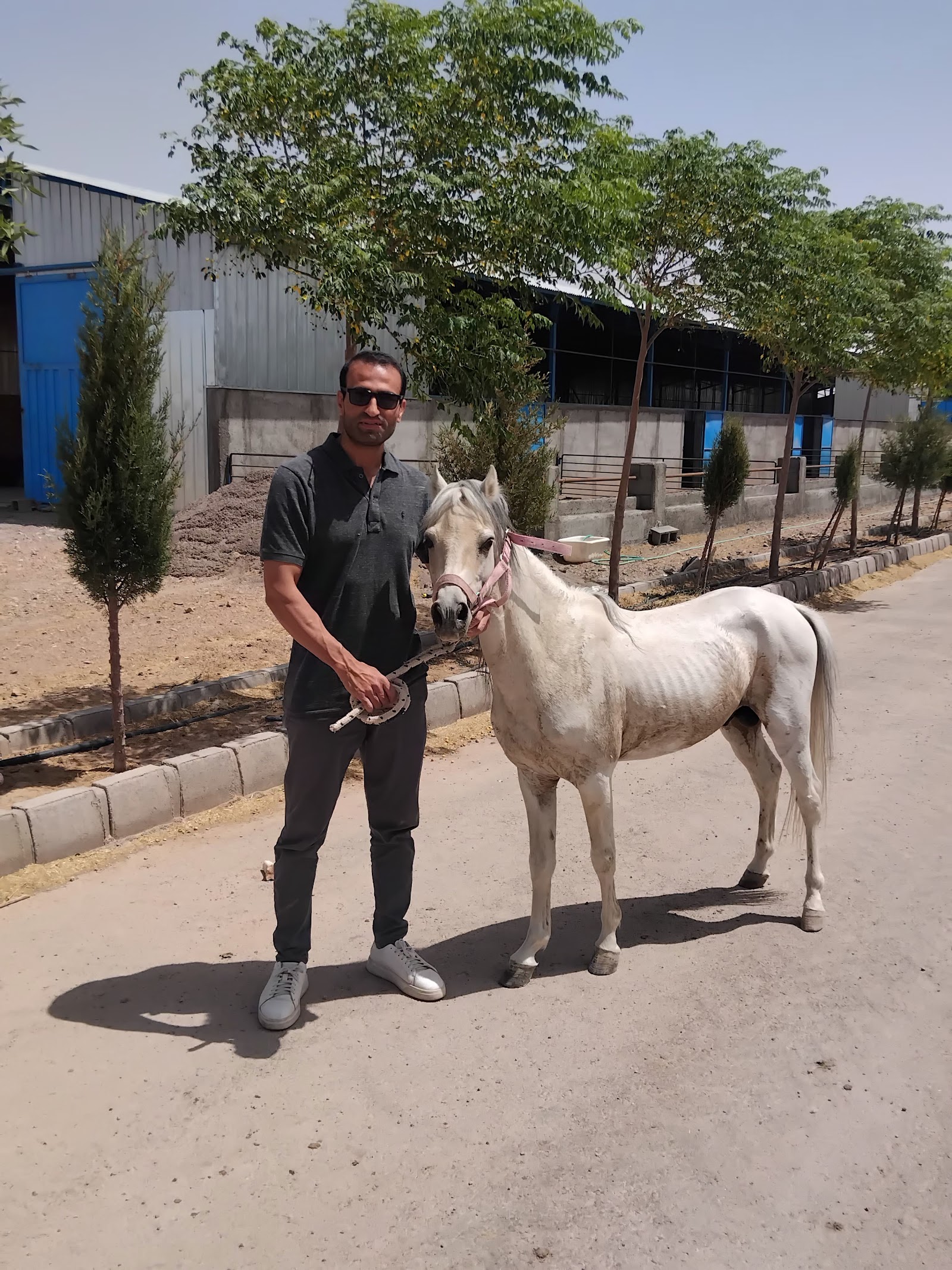 باشگاه سوارکاری دشت ناز — باشگاه