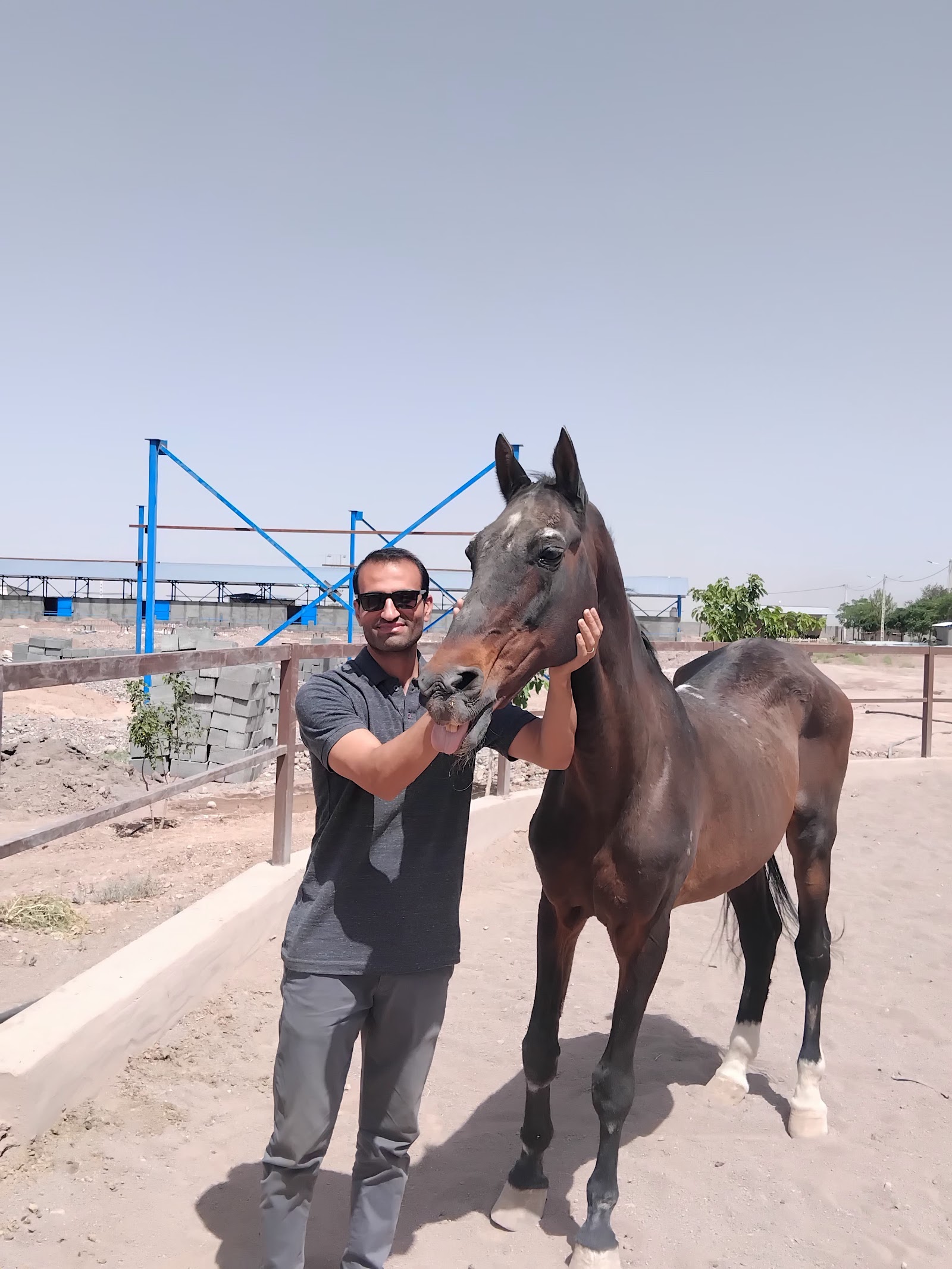 باشگاه سوارکاری دشت ناز — باشگاه