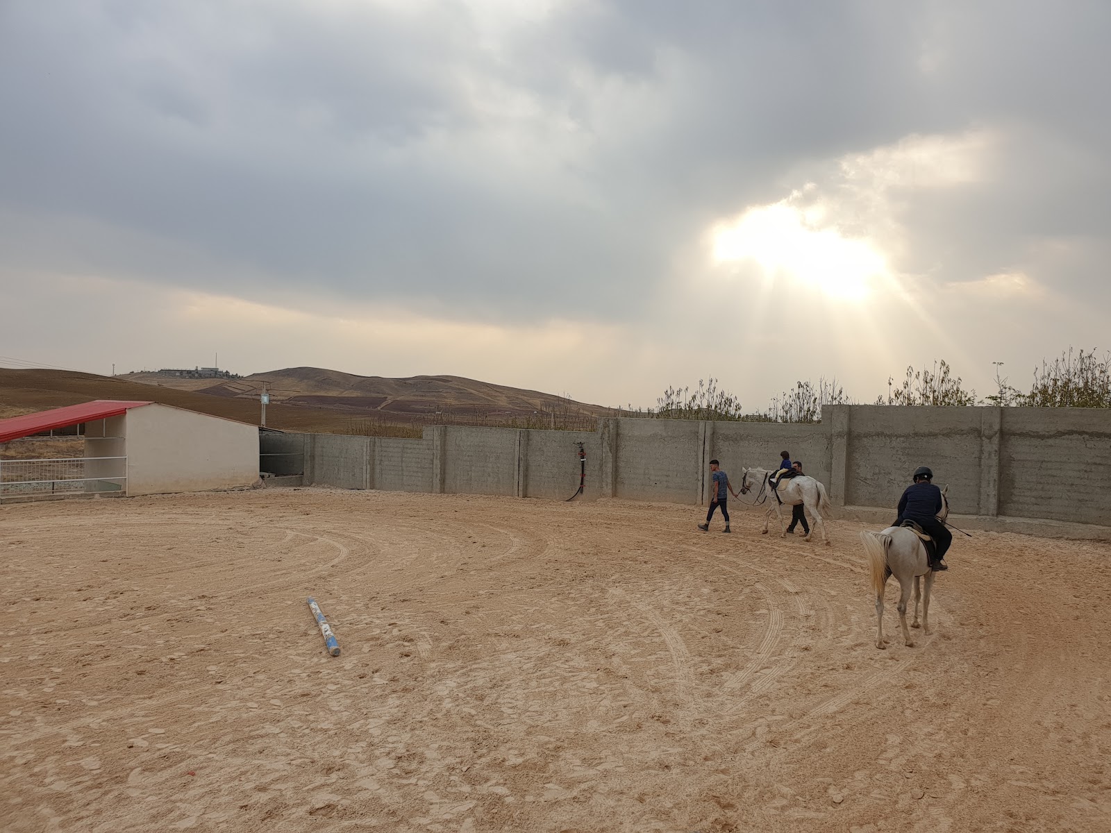 باشگاه سوارکاری کرمی — باشگاه