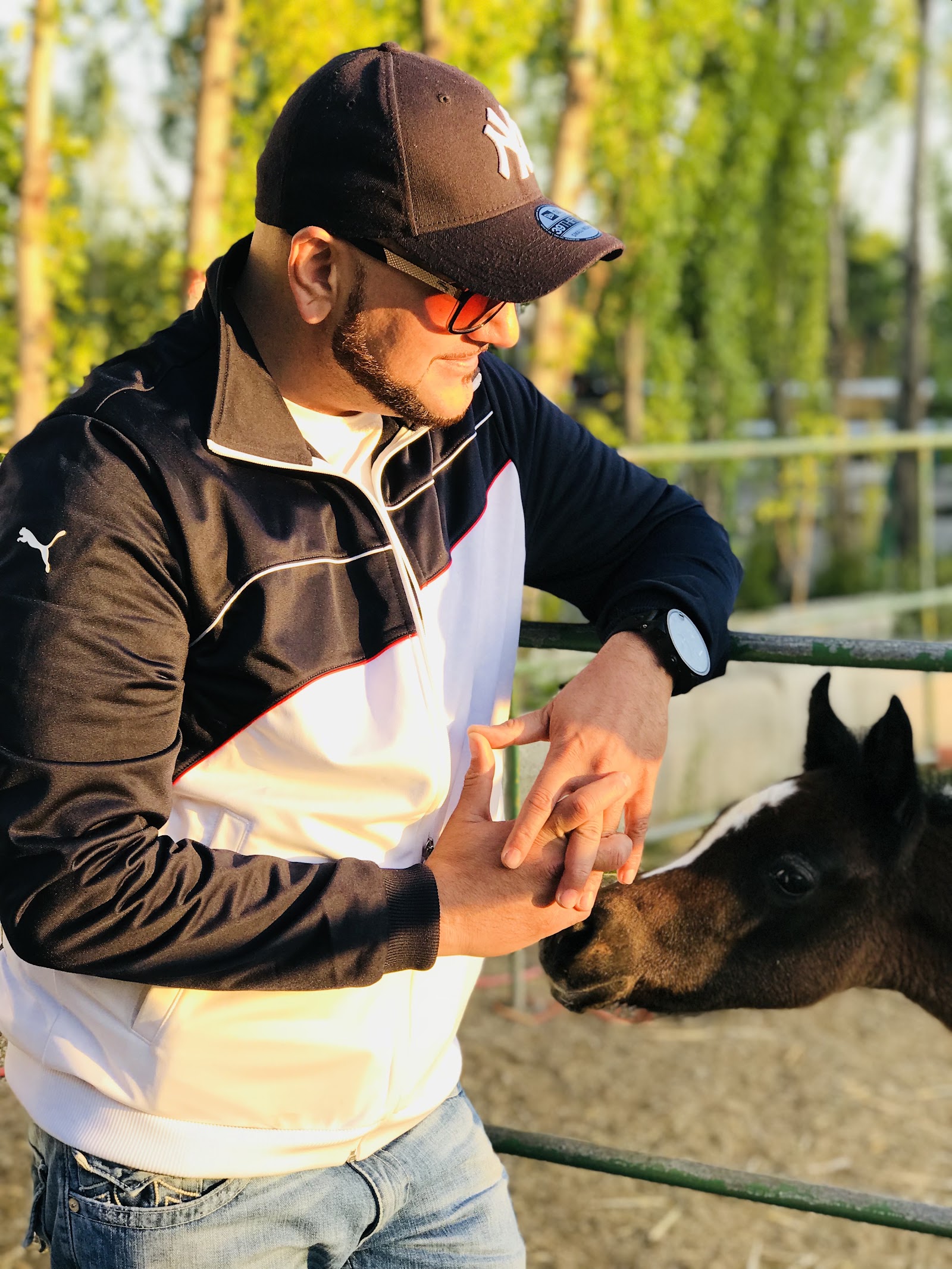 باشگاه سوارکاری آرمان — باشگاه