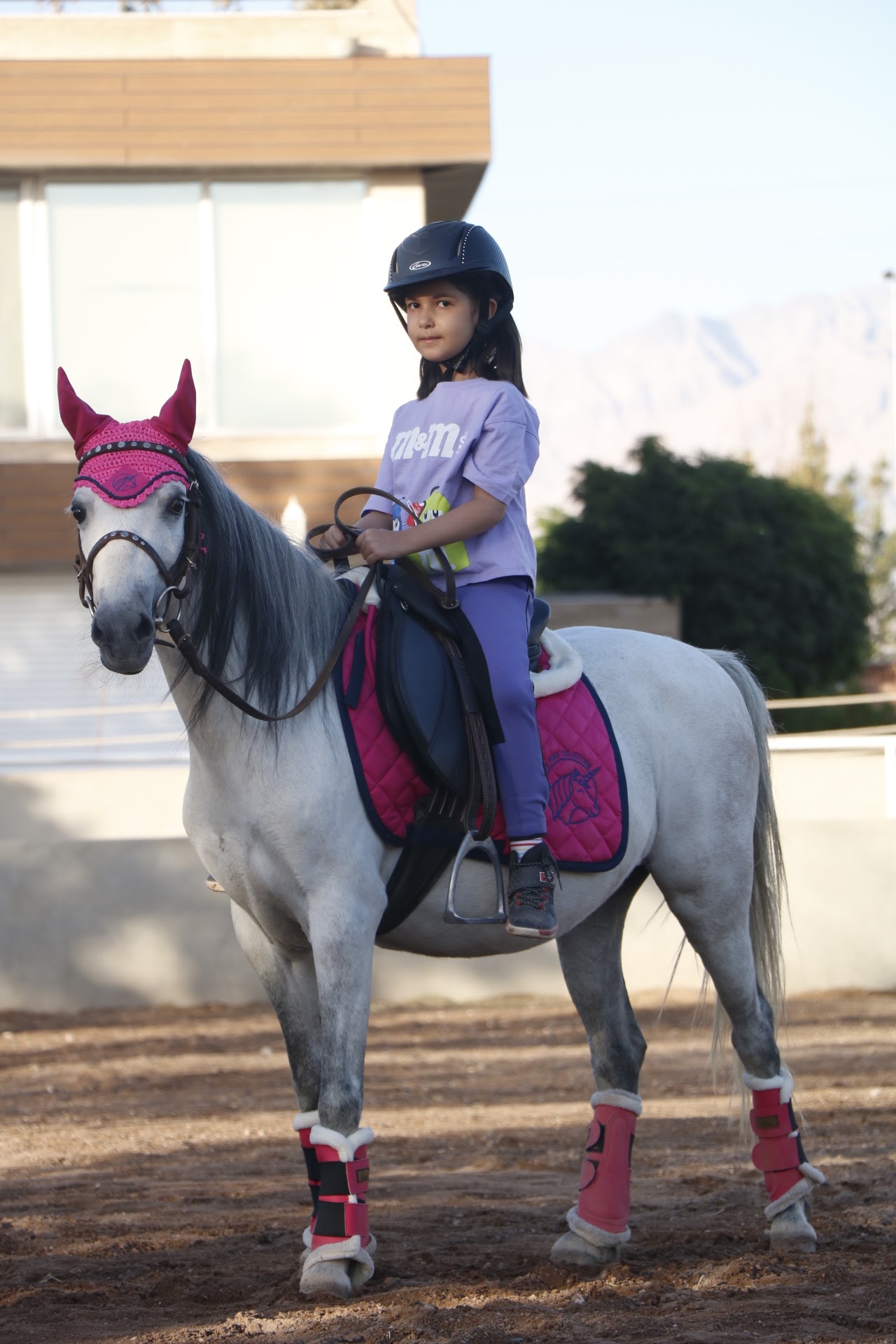باشگاه سوارکاری سارینا — باشگاه