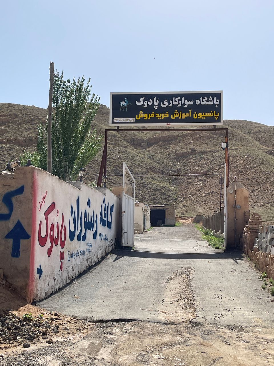 باشگاه سوارکاری پادوک — باشگاه