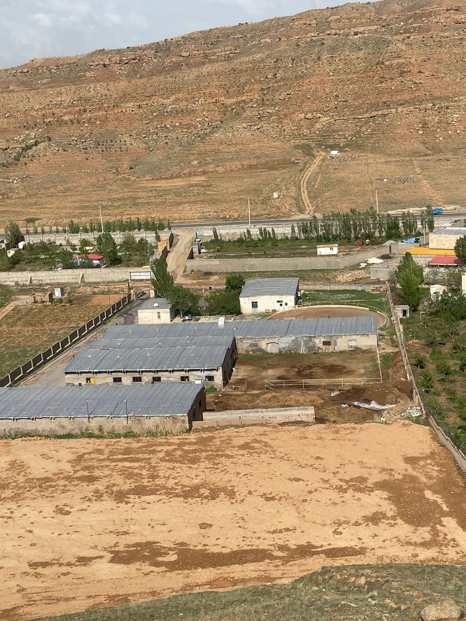 باشگاه سوارکاری پادوک — باشگاه