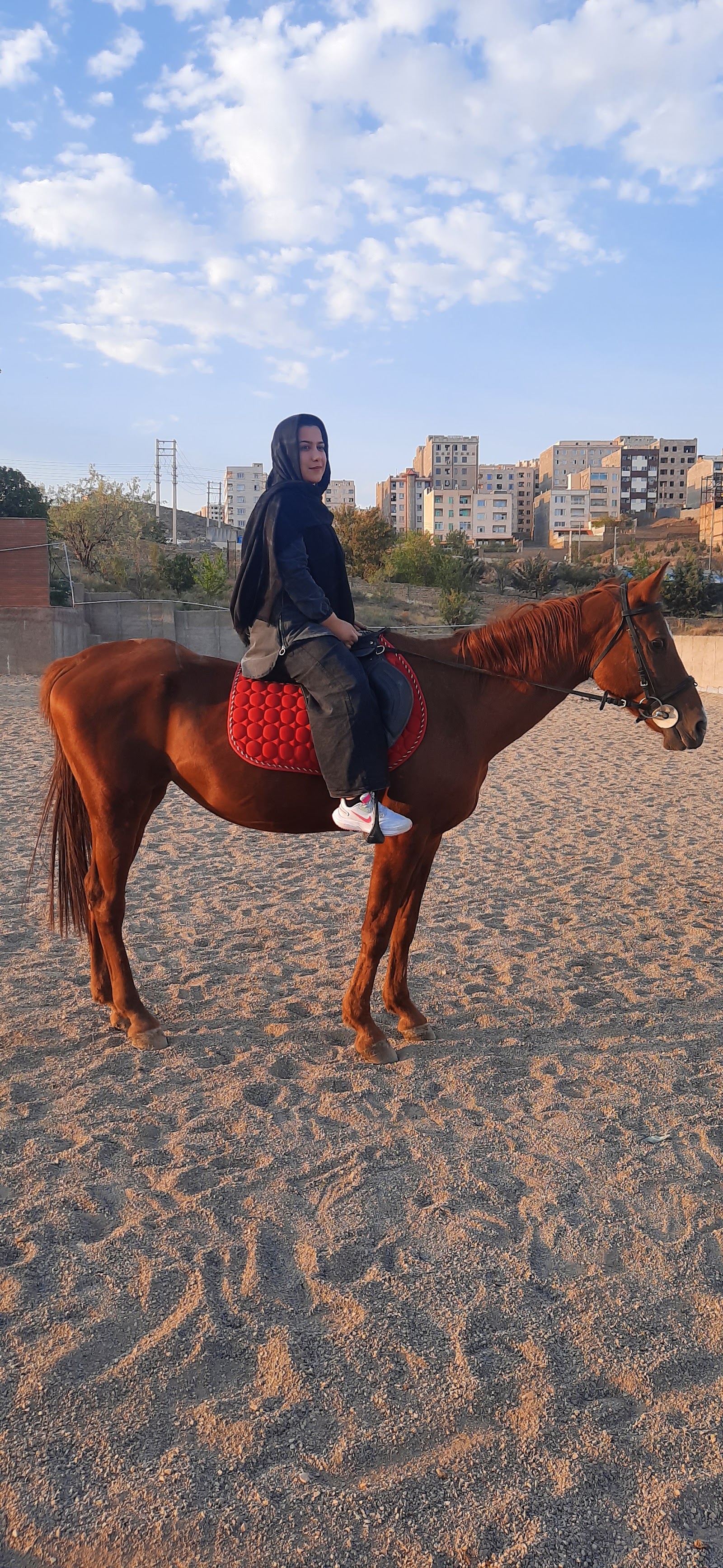 باشگاه سوارکاری سلام — باشگاه