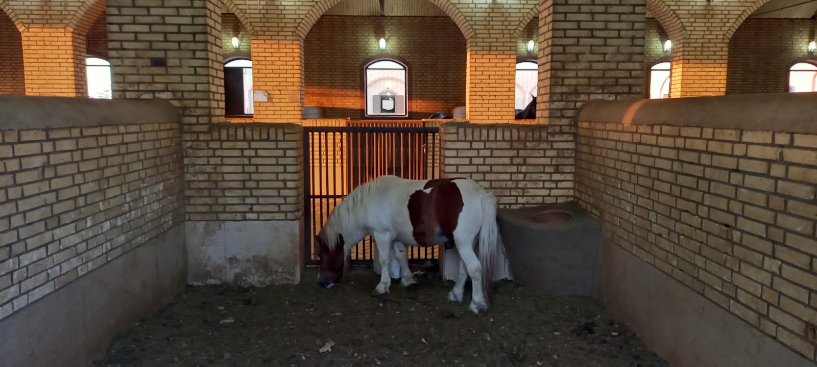 باشگاه سوارکاری و گردشگری بیک چرخاب-سرچشمه-زارچ — باشگاه