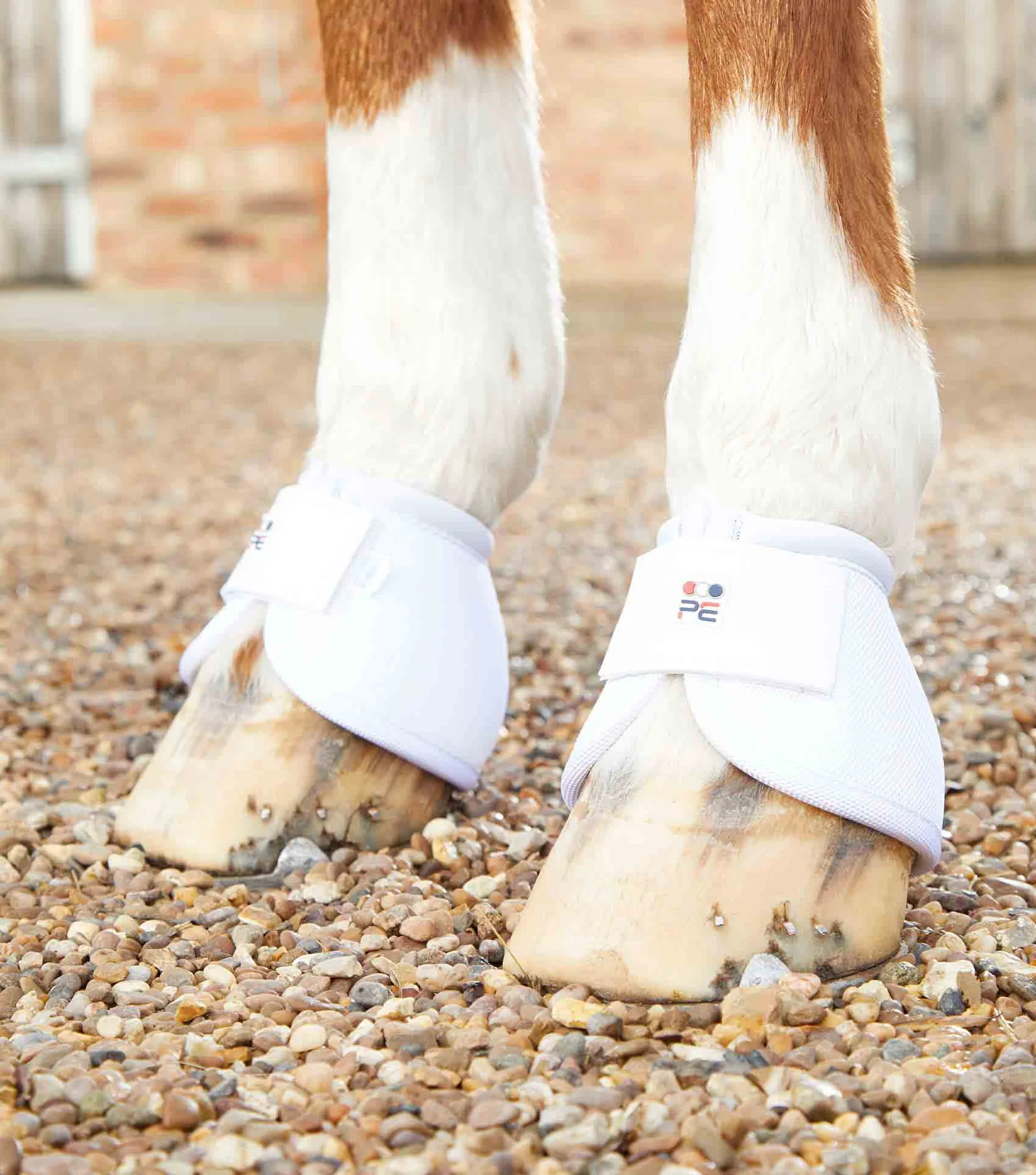 گتر بالستیک ضد چرخش Premier Equine — 7