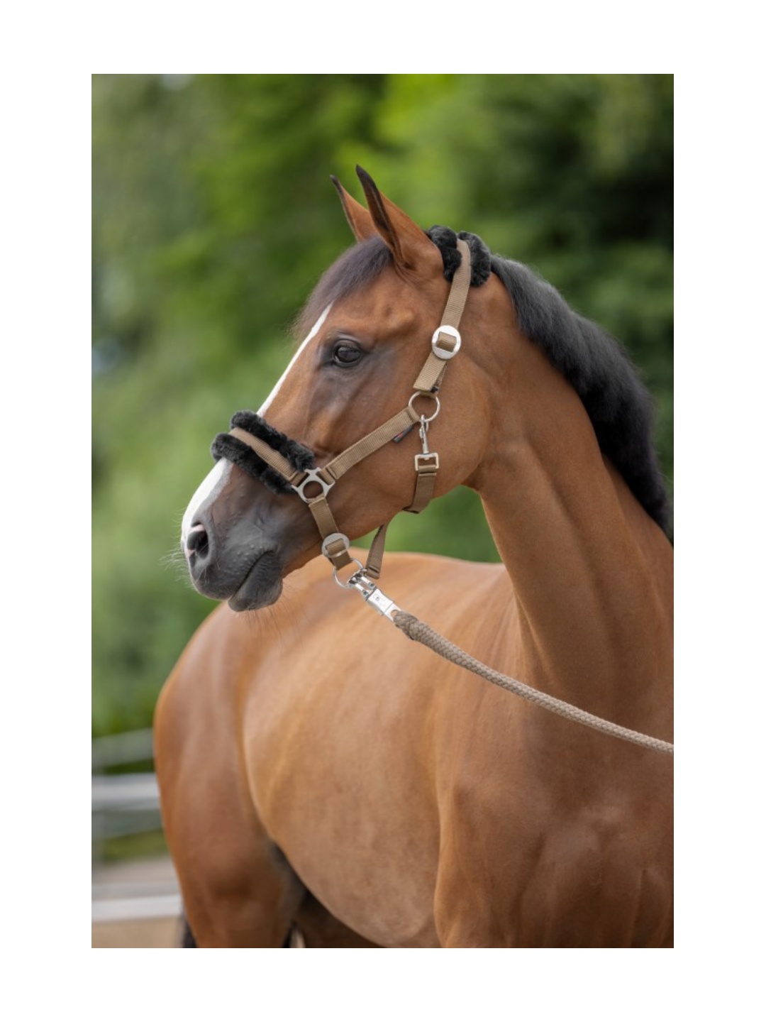 کلهگی ZiHorse مدل کلاسیکسافت با روکش پشمی