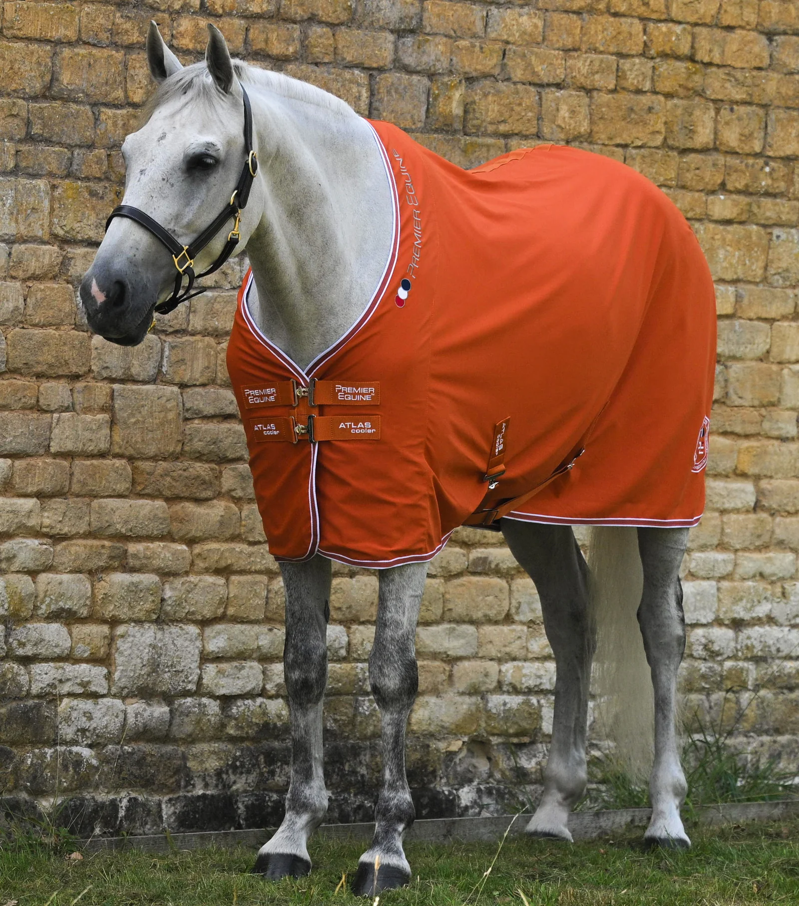 روکش خنککننده Premier Equine مدل Atlas — 7