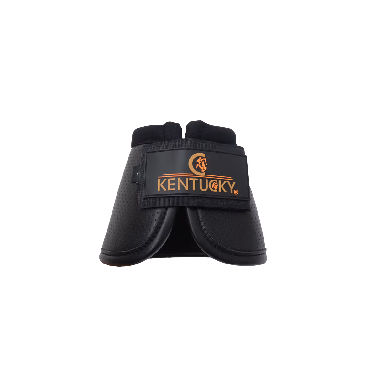 بات محافظ سم Kentucky با فناوری هوا