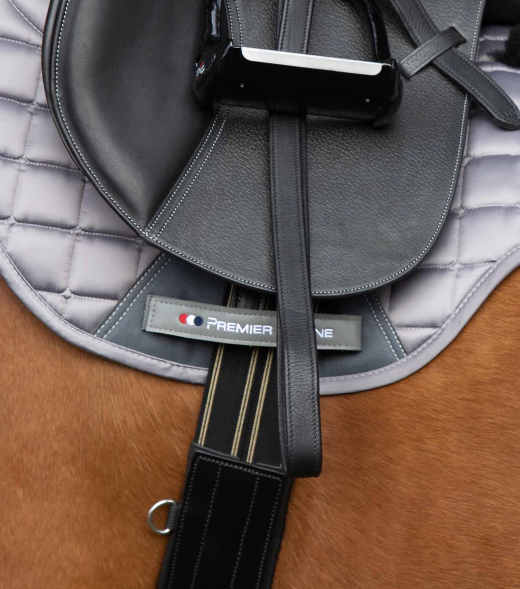 بند سینهبند آناتومیک چرمی Premier Equine — 4