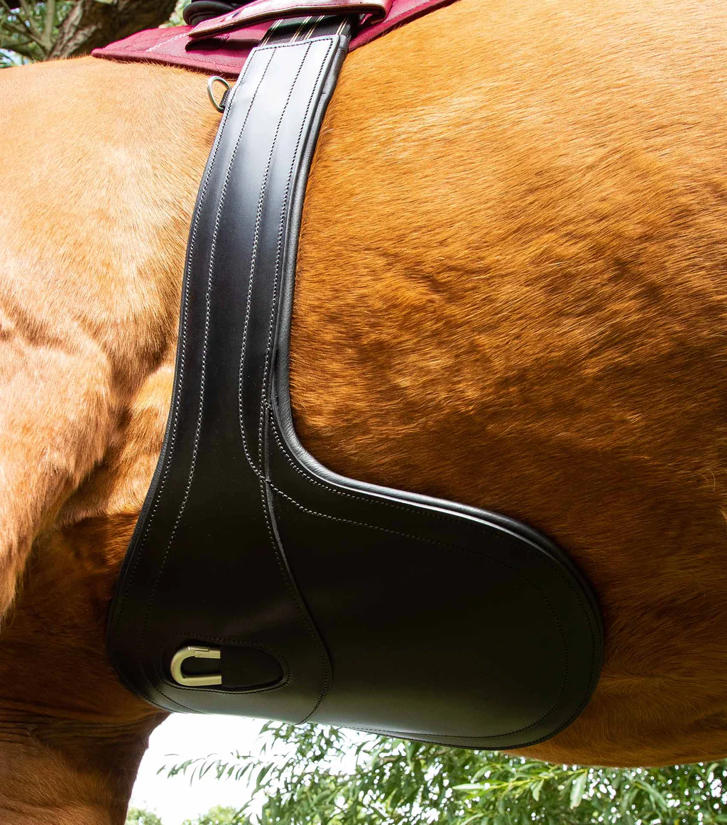 بند سینهبند آناتومیک چرمی Premier Equine — 3