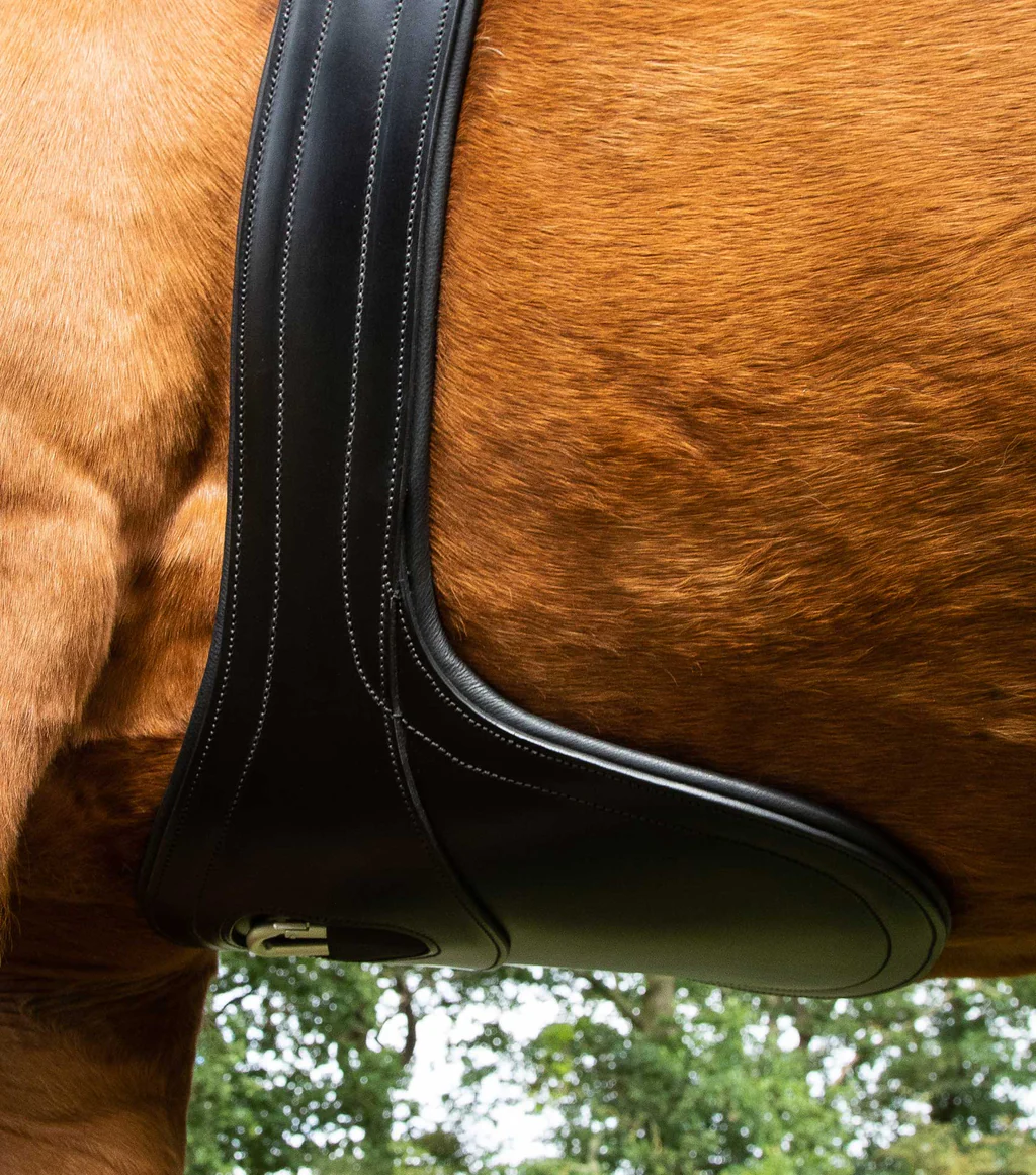 بند سینهبند آناتومیک چرمی Premier Equine — 5