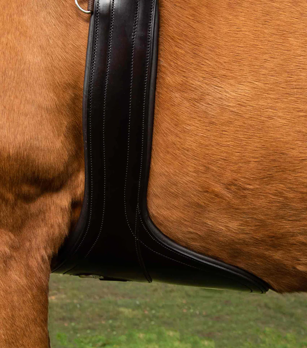 بند سینهبند آناتومیک چرمی Premier Equine — 4