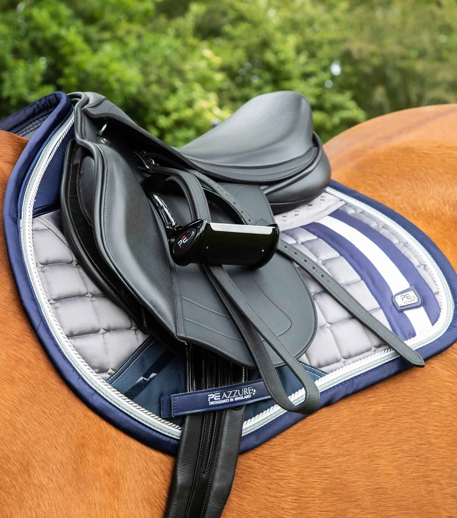 زیرزین ساتن Premier Equine مدل Azzure — 5