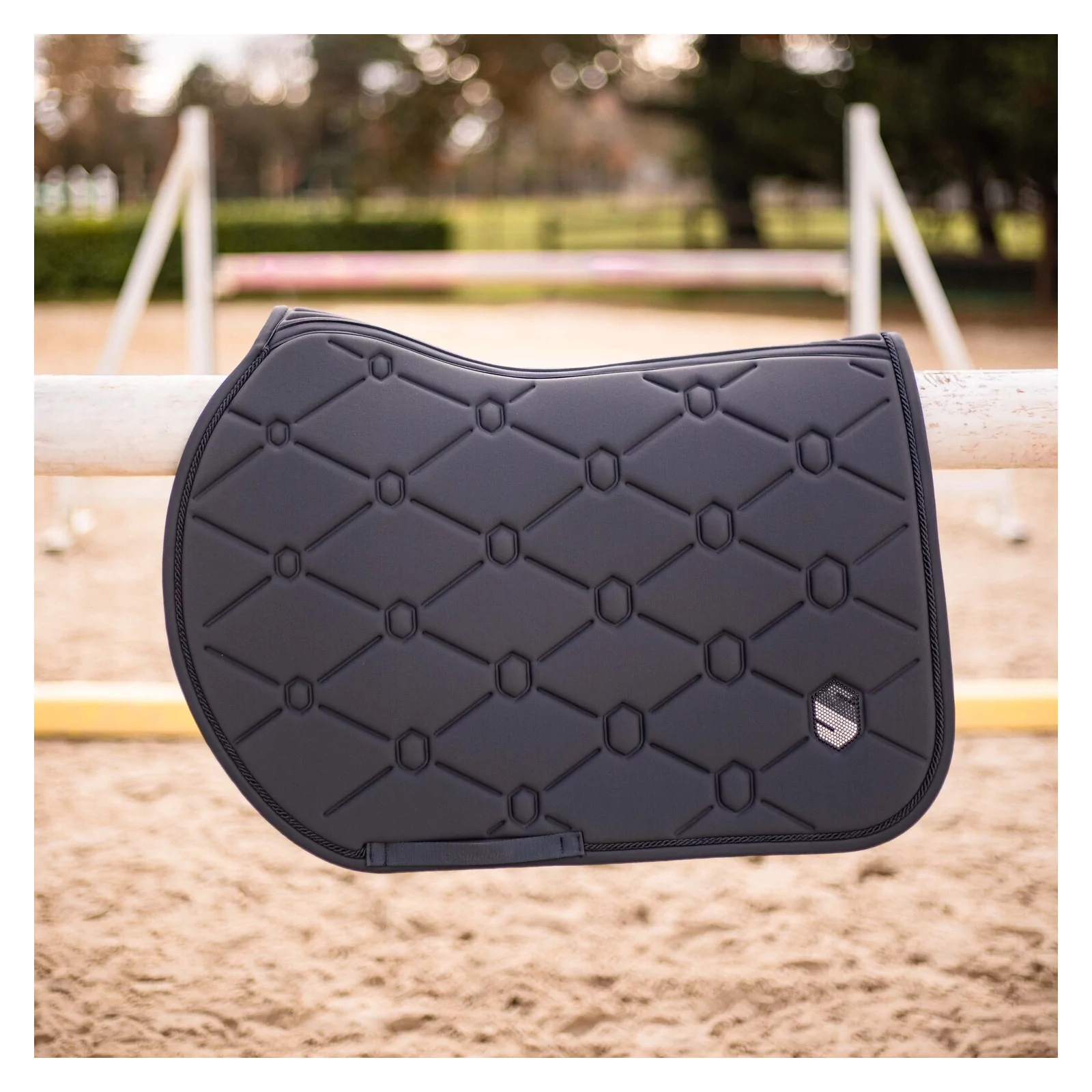 زیرزین سامشیلد Samshield مدل Spineshield — 4