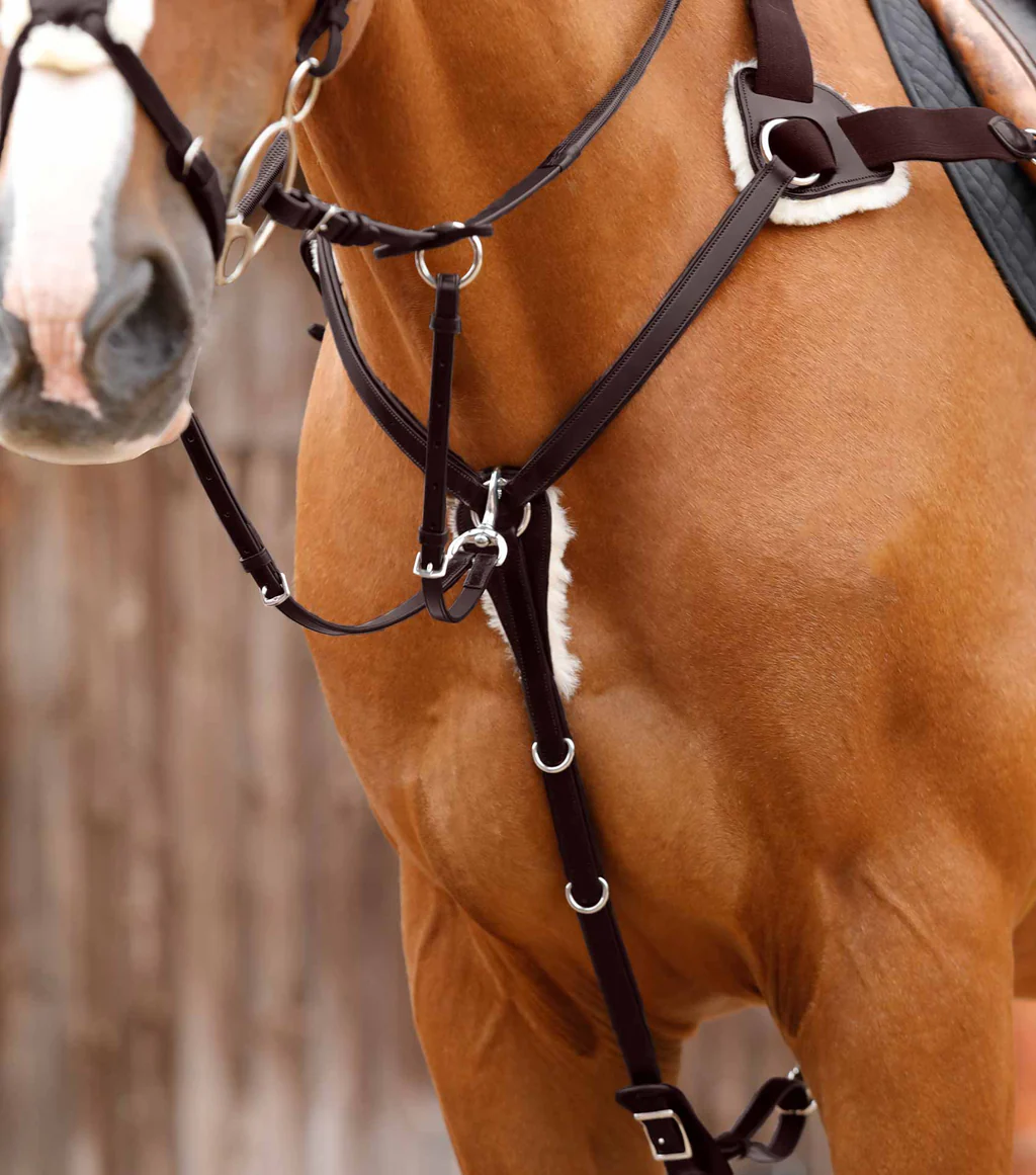 سینهبند ۵ نقطهای Premier Equine مدل تمامقد — 4