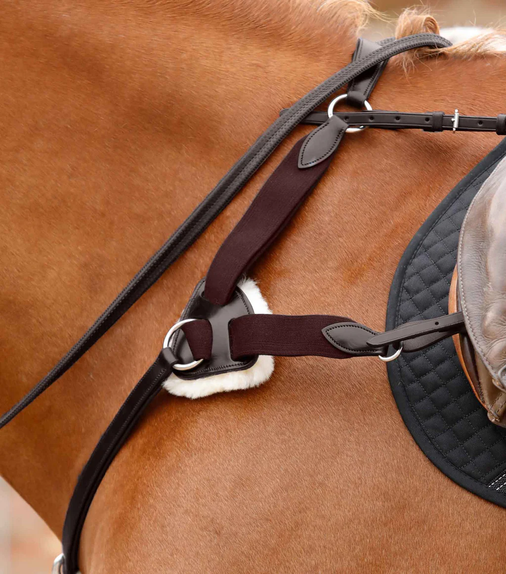 سینهبند ۵ نقطهای Premier Equine مدل تمامقد — 3